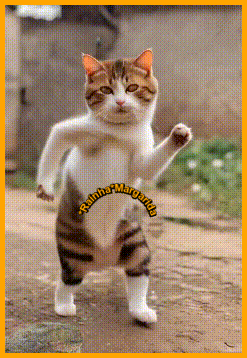 74.gif
